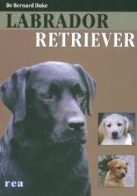 Labrador Retriever - Bernard Duke