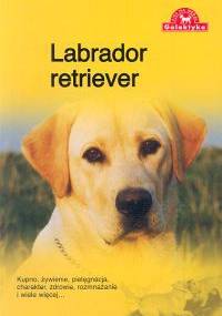 Labrador retriever - Zespół Over Dieren, Anna Redlicka