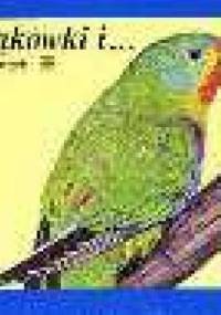 Łąkówki i... - Jadwiga Korczak