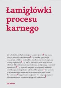 Łamigłówki procesu karnego - Agnieszka Kaszok