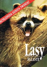 Lasy iglaste - Catherine Nicolle