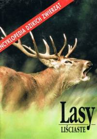 Lasy liściaste - Catherine Nicolle