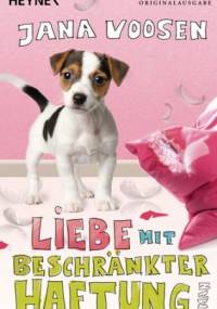 Liebe mit beschränkter Haftung - Jana Voosen
