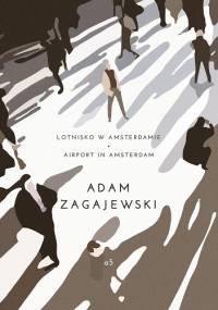 Lotnisko w Amsterdamie / Airport in Amsterdam - Adam Zagajewski