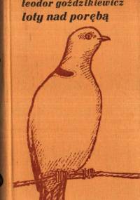 Loty nad porębą - Teodor Goździkiewicz
