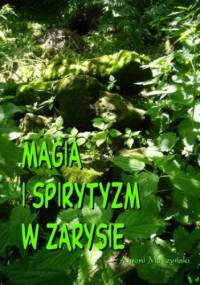 Magia i spirytyzm w zarysie - Moszyński Antoni