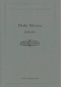 Małe Miasta. Zabytki - Mariusz Zemło, Radosław Dobrowolski