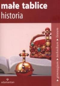Małe tablice. Historia 2008 - Witold Mizerski