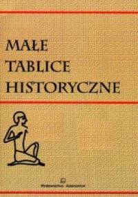 Małe tablice historyczne - Witold Mizerski