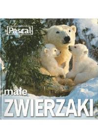 Małe zwierzaki - praca zbiorowa