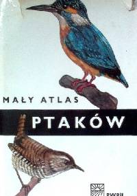 Mały atlas ptaków - Jarosław Spirhanzel-Duris