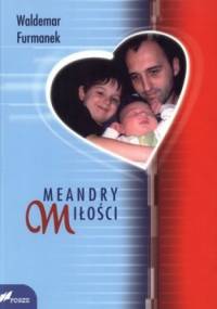 Meandry miłości - Waldemar Furmanek