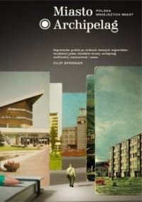 Miasto Archipelag. Polska mniejszych miast - Filip Springer