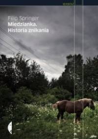 Miedzianka. Historia znikania - Filip Springer