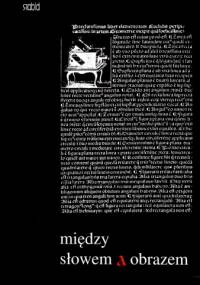 Między słowem a obrazem