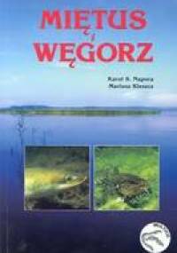 Miętus i węgorz - Karol S. Napora