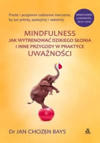 Mindfulness: Jak wytrenować dzikiego słonia - Jan Chozen Bays