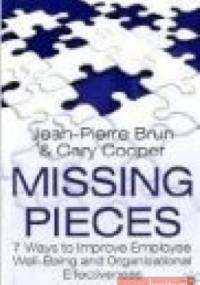 Missing Pieces - J. Brun