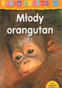 Młody orangutan - Monika Hughes