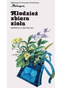 Młodzież zbiera zioła. Instrukcja o zbiorze ziół - praca zbiorowa