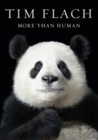 More than Human - Tim Flach, Lewis Blackwell
