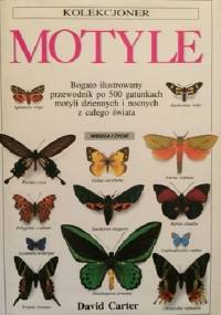 Motyle - David Carter