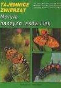 Motyle naszych lasów i łąk - Adam Malkiewicz