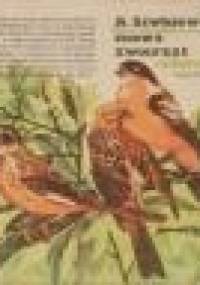 Mowa zwierząt - A. Siwkiewicz