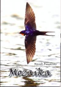 Mozaika - Marek Biegalski