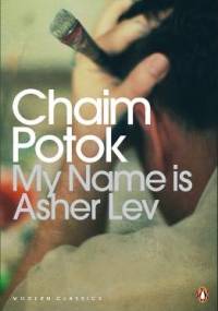 My Name is Asher Lev - Chaim Potok