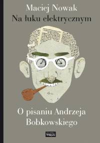 Na łuku elektrycznym. O pisaniu Andrzeja Bobkowskiego - Maciej Nowak