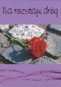 Na rozstaju dróg - Agnieszka Rudnik