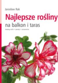 Najlepsze rośliny na balkon i taras - Jarosław Rak