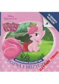 Naklejkowe szaleństwo nr 175. Poznaj Różyczkę - Amy Sky Koster