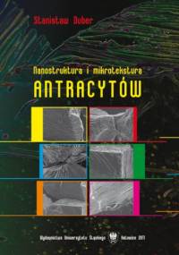 Nanostruktura i mikrotekstura antracytów - Duber Stanisław