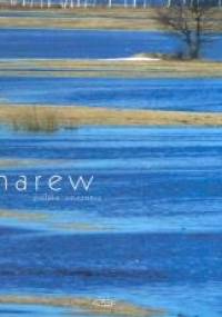 Narew. Polska amazonia - Jarosław Chyra, Zenon Lewartowski