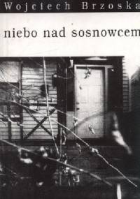 Niebo nad Sosnowcem - Wojciech Brzoska