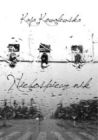 Niebospiecznik - Kaja Kowalewska