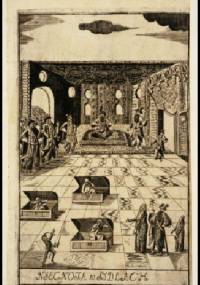 Niecnota w sidłach - Franciszka Urszula Radziwiłłowa