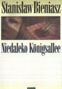 Niedaleko Königsallee - Stanisław Bieniasz