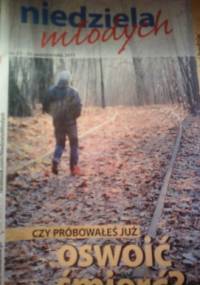 Niedziela Młodych, 44/2011 - Redakcja tygodnika Niedziela