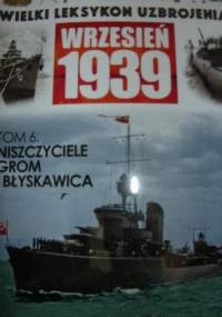 Niszczyciele Grom i Błyskawica - Tadeusz Kondracki