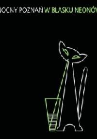 Nocny Poznań w blasku neonów - Magdalena Mrugalska-Banaszak