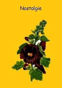 Nostalgie - Stanisława Łozińska