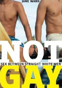 Not Gay: Sex Between Straight White Men - Jane Ward