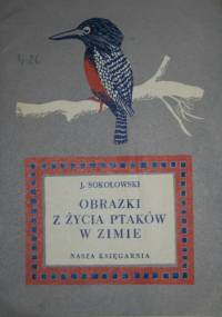 Obrazki z życia ptaków w zimie - Jan Sokołowski
