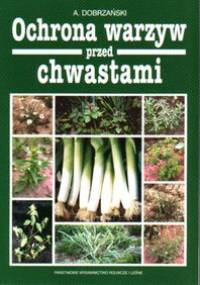 Ochrona warzyw przed chwastami - Adam Dobrzański