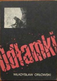Odłamki - Władysław Orłowski