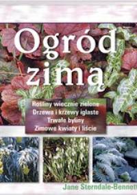 Ogród zimą - Jane Sterndale-Bennett