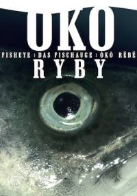 Oko Ryby. Impresje z Półwyspu Helskiego - praca zbiorowa, Łukasz Klesyk